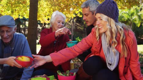 Multi-generation-family-taking-picnic-