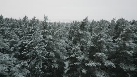 Valdemārpils-De-Letonia-En-El-Mes-De-Diciembre.