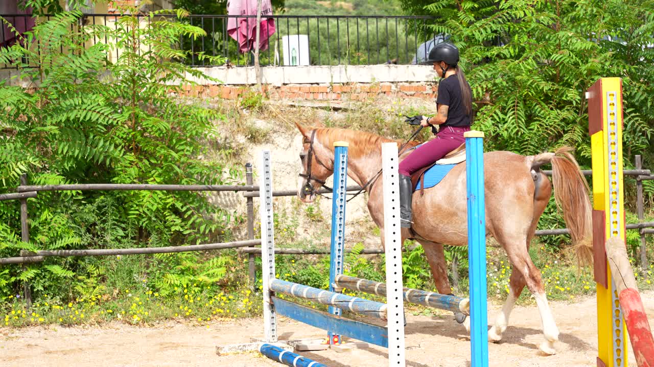 Focused female equestrian rider walks her horse slowly around the hurdles in a riding arena, adjusting her gloves in preparation for a show jumping competition
