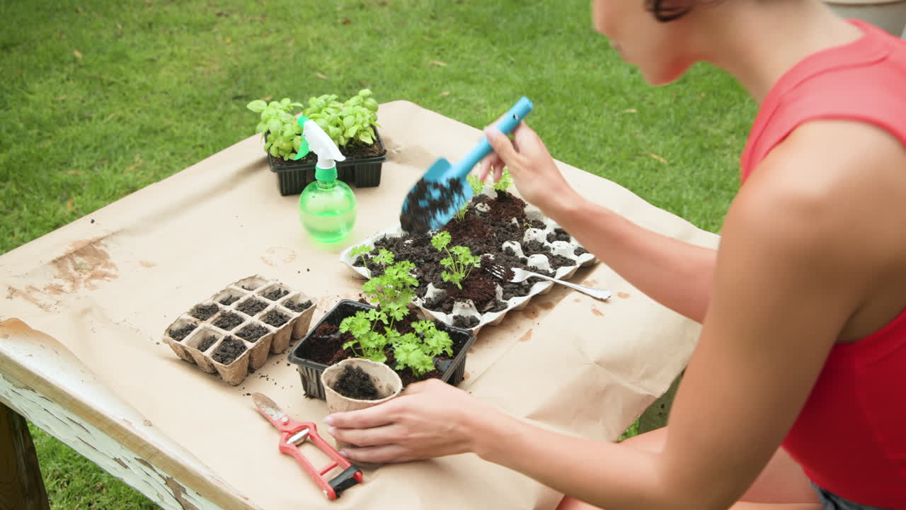 Woman planting seedlings at home garden, using tools and spray bottle