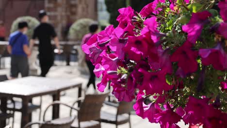 people walking past flowers in an outdoor cafe