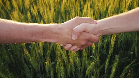 Two Farmers Shaking Hands Against The Background Of A Wheat Field