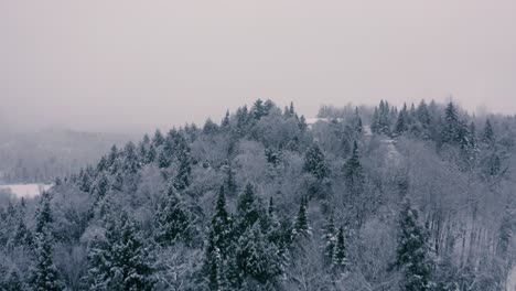 Foggy-Winter-Landscape---Drone-Flying-4K---Mountains---Trees,-rivers,-snowy