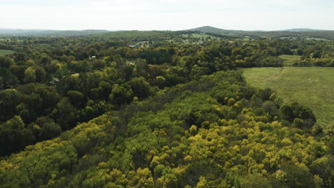 mountains densely covered in bushes near twin bridges district in washington county, arkansas, usa