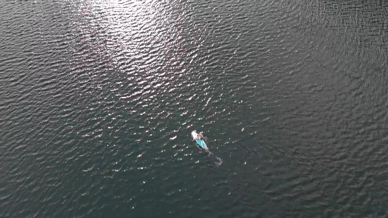Foto Udara Stand Up Paddleboarding di Danau Bohinj.