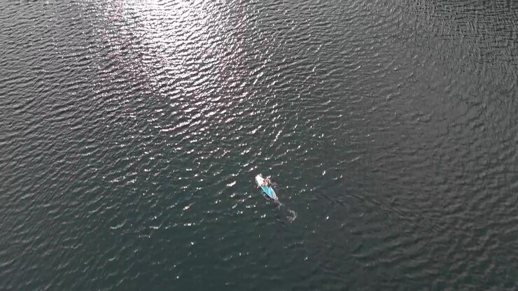 Aerial Shot of Stand Up Paddleboarding on Lake Bohinj