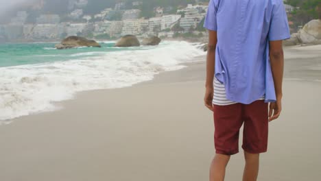 vista trasera de un hombre afroamericano caminando por la playa 4k