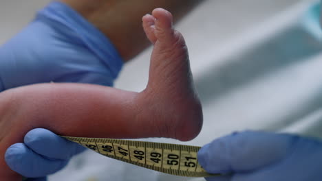 measuring the newborn's height. close up of a baby's tiny foot with measuring tape held by the doctor. close up.