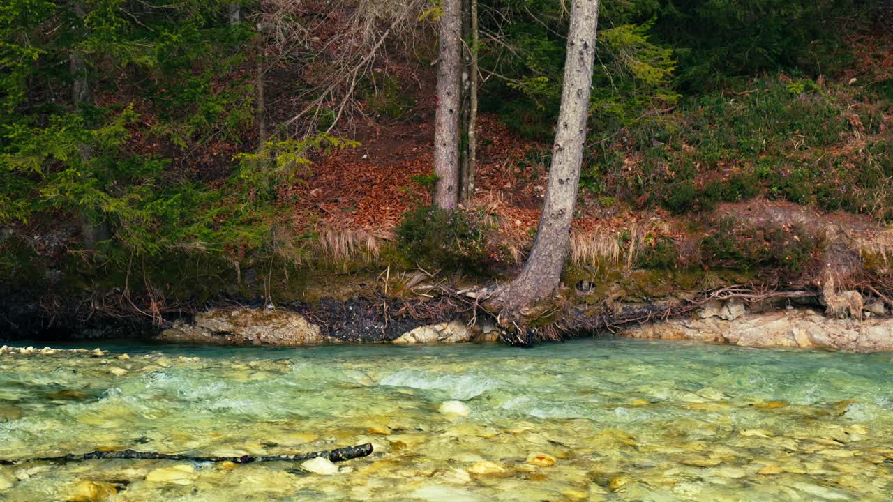 Immerse yourself in the pristine beauty of the Julian Alps with this stunning capture of a mountain river near Kranjska Gora, Slovenia. Crystal-clear turquoise water flows over smooth river rocks.
