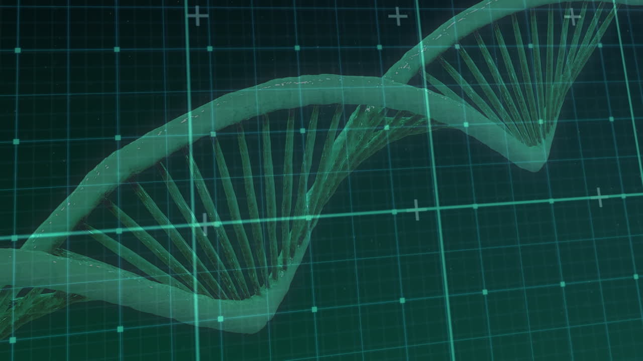 animación digital de la red de cuadrícula sobre la estructura de adn giratoria contra un fondo azul