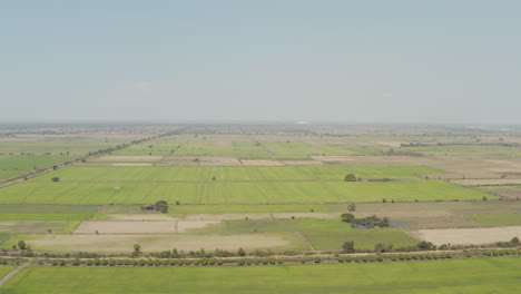 Luftaufnahme-Von-Reisfeldern-Auf-Flachem-Land-In-Südostasien,-Kambodscha