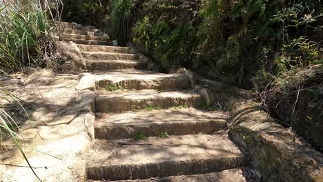 handheld view walking up stone steps of steep hiking trail through forest, blue mountains