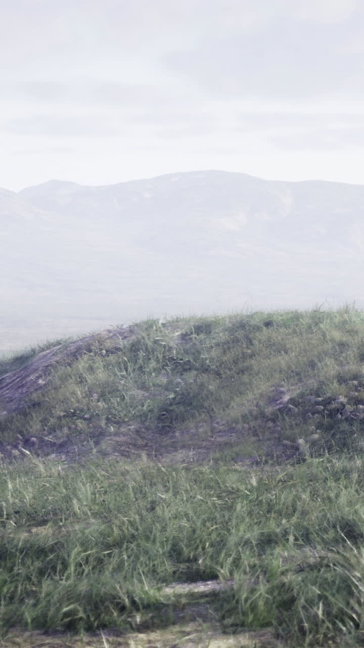 Mound of grass in a serene landscape with distant mountains and overcast sky