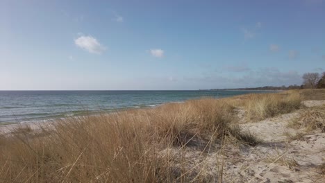 Ein-Wunderbarer-Tag-Am-Mossbystrand-Mit-Dem-Wogenden-Meer-Vom-Blick-Auf-Den-Bezaubernden-Sandstrand,-Während-Sich-Das-Gras-Im-Leichten-Wind-Wiegt