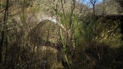 Niedrige,-Sich-Etablierende-Sicht-Zwischen-Blattlosen-Bäumen-Entlang-Des-Flusses-Der-Alten-Römischen-Brücke