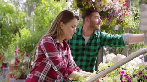 professional male and female gardeners working with flowers in garden