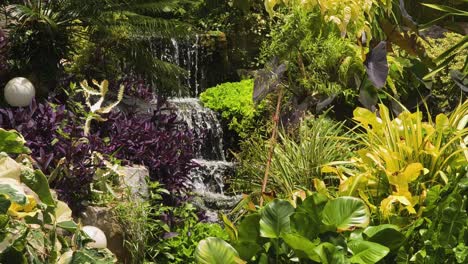 jardín de cascadas tropicales
