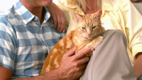 in slow motion happy couple with cat