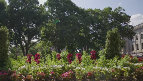 West-Virginia-state-capitol-building-in-Charleston,-West-Virginia-with-gimbal-video-panning-from-flowers-to-dome