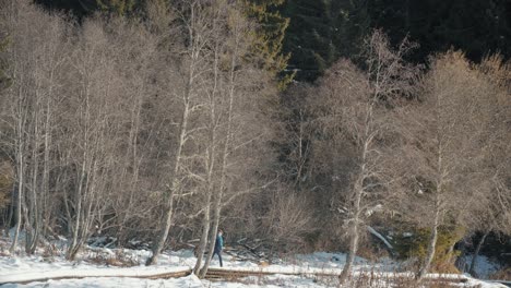 Hombre-Paseando-A-Su-Perro-En-Un-Bosque-Nevado-En-Un-Puente-De-Madera-Desde-Lejos