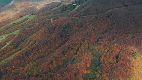 Vivid-Forest-Trees-In-The-Mountain-In-Fall-In-Yamagata,-Japan---Zao-Onsen-In-Autumn---aerial-top-down