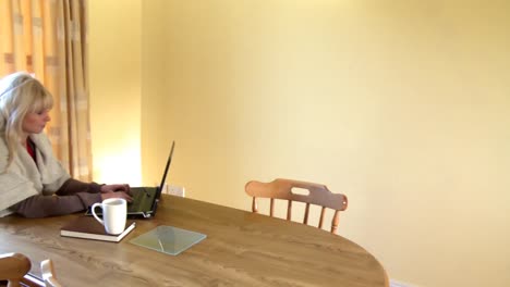 mujer tranquila trabajando en una computadora portátil bebiendo café