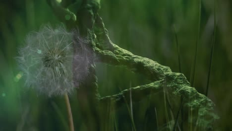 animation of 3d dna strand spinning and data processing over dandelion and grass