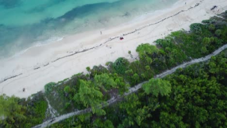 La-Belleza-De-La-Naturaleza-Desde-Arriba,-Con-Un-Bosque-Frondoso,-Una-Playa-Serena-Y-Majestuosas-Vistas-Al-Océano