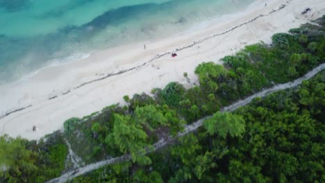 la belleza de la naturaleza desde arriba, con un bosque frondoso, una playa serena y majestuosas vistas al océano
