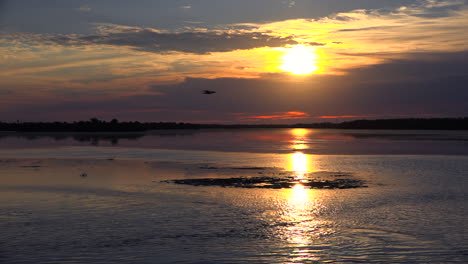 Aves-Playeras-Distantes-Al-Atardecer-A-Lo-Largo-De-Los-Humedales-De-La-Costa-De-Florida-1