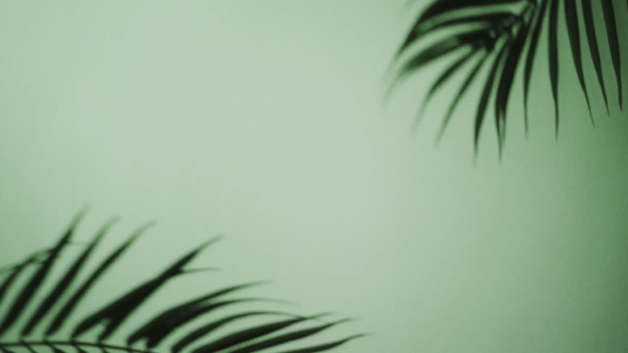 Close up of blurred leaves on white background with copy space in slow motion