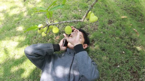 portrait of an asian man enjoying a water apple or syzygium samarangense while lying on the grass