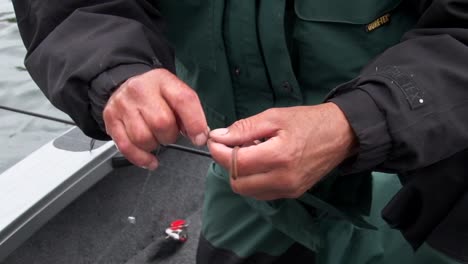 man putting worm bait on fish hook - close up