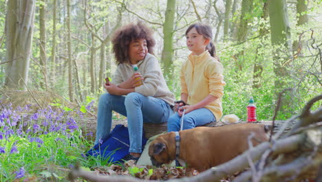 dos niños caminando perro mascota a través de los bosques de bluebell en la primavera tomando un descanso sentado en el tronco