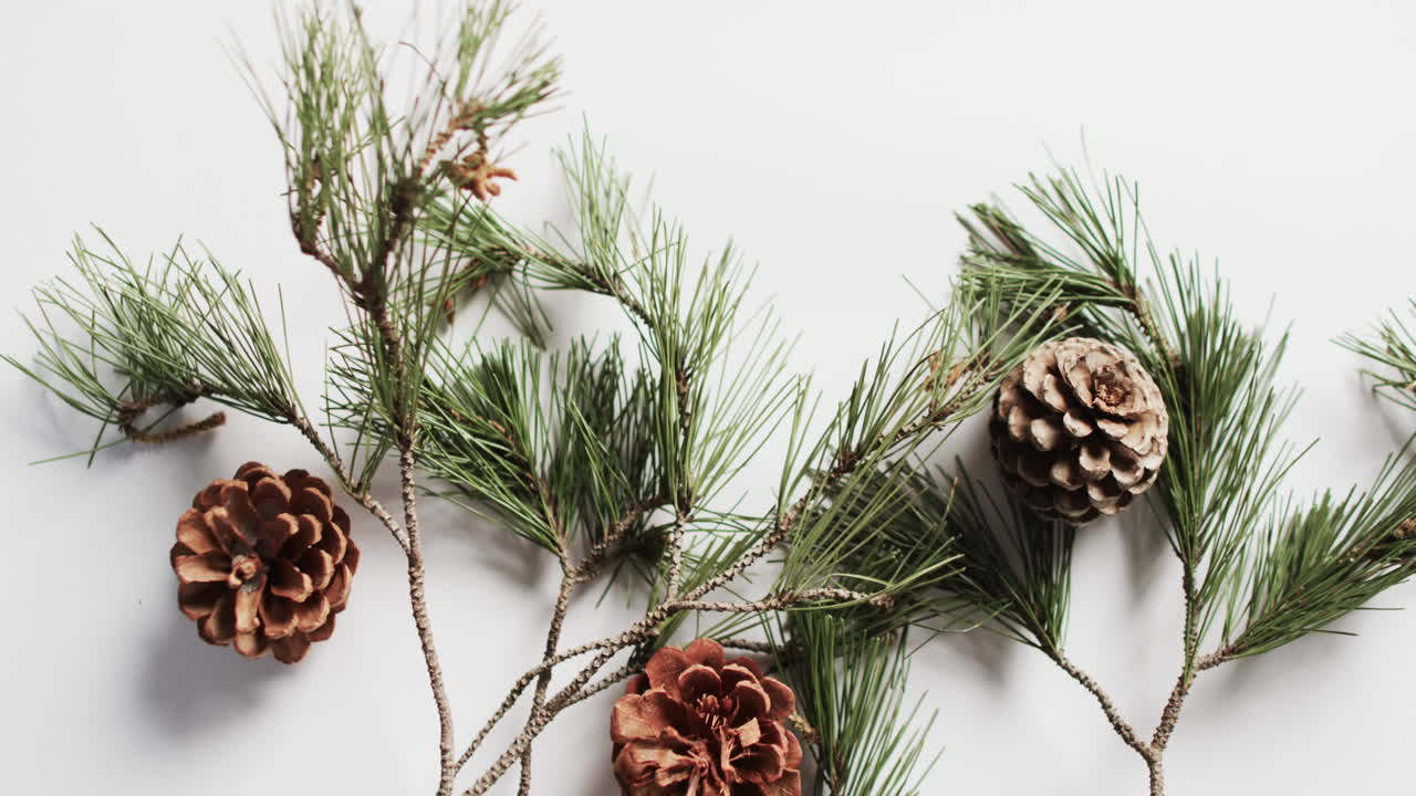 Video of fir tree branches christmas decorations with copy space on white background