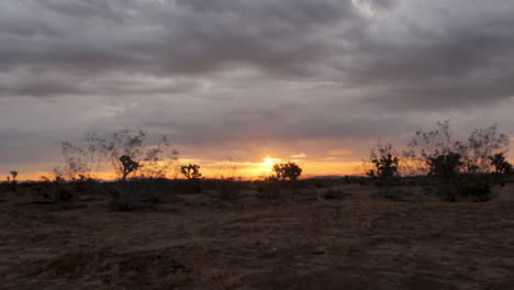 Salida-Y-Puesta-Del-Sol-En-El-Desierto