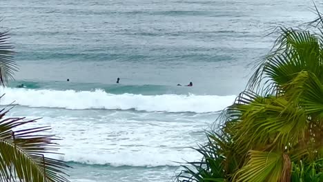 Surfers-paddling-out-to-catch-waves-in-between-two-palm-trees-on-Palm-Beach,-The-Gold-Coast,-Queensland