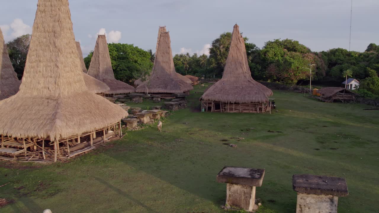 caballos junto a las casas tradicionales auténticas de la aldea isla de sumba, aérea