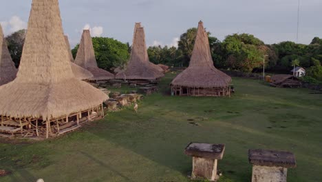 Horses-next-to-traditional-authentic-village-houses-Sumba-island,-aerial