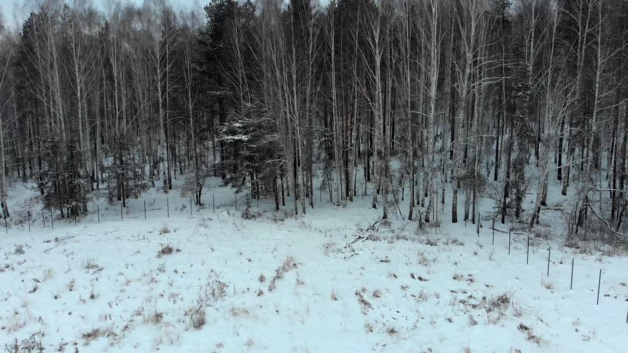 사람 들 이 있는 눈 인 숲