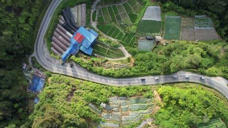 general landscape view of the brinchang district within the cameron highlands area of malaysia