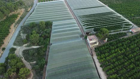 Aerial-view-of-agricultural-fields-with-rows-of-crops-and-greenhouses,-showcasing-the-organization-of-farming