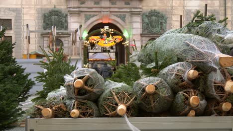 wrapped christmas trees at christmas market