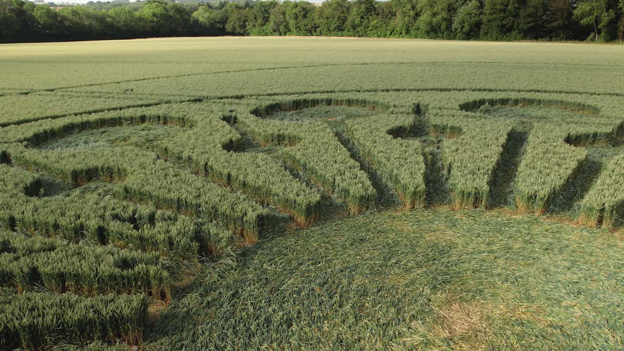 영국 햄프셔 주 오슬베리 의 농장 에서 울창 한 초록색 작물 형성