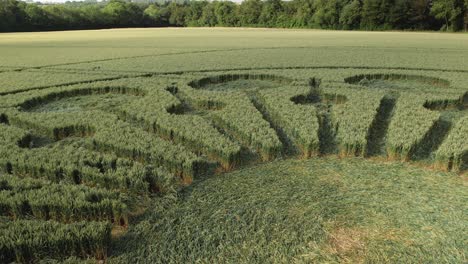 formación de cultivos verdes exuberantes en el campo de una granja en owslebury, hampshire, reino unido