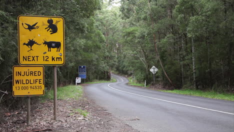 un automóvil pasa por la señalización vial de vida silvestre en victoria, australia