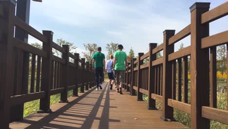 a group of westerners cross a wooden bridge in a sweet flag field at imjingak by the dmz overlooking north korea, in munsan, paju, gyeonggi-do, south korea