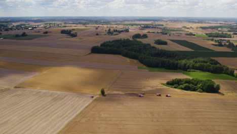 Vista-Panorámica-Aérea-Sobre-Amarillo,-Campos-De-Trigo-Y-árboles-Verdes-Del-Bosque-A-La-Luz-Del-Sol