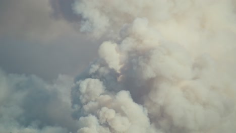 czu lightning complex fire in san mateo county