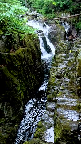 water flows through lush, mossy rocks